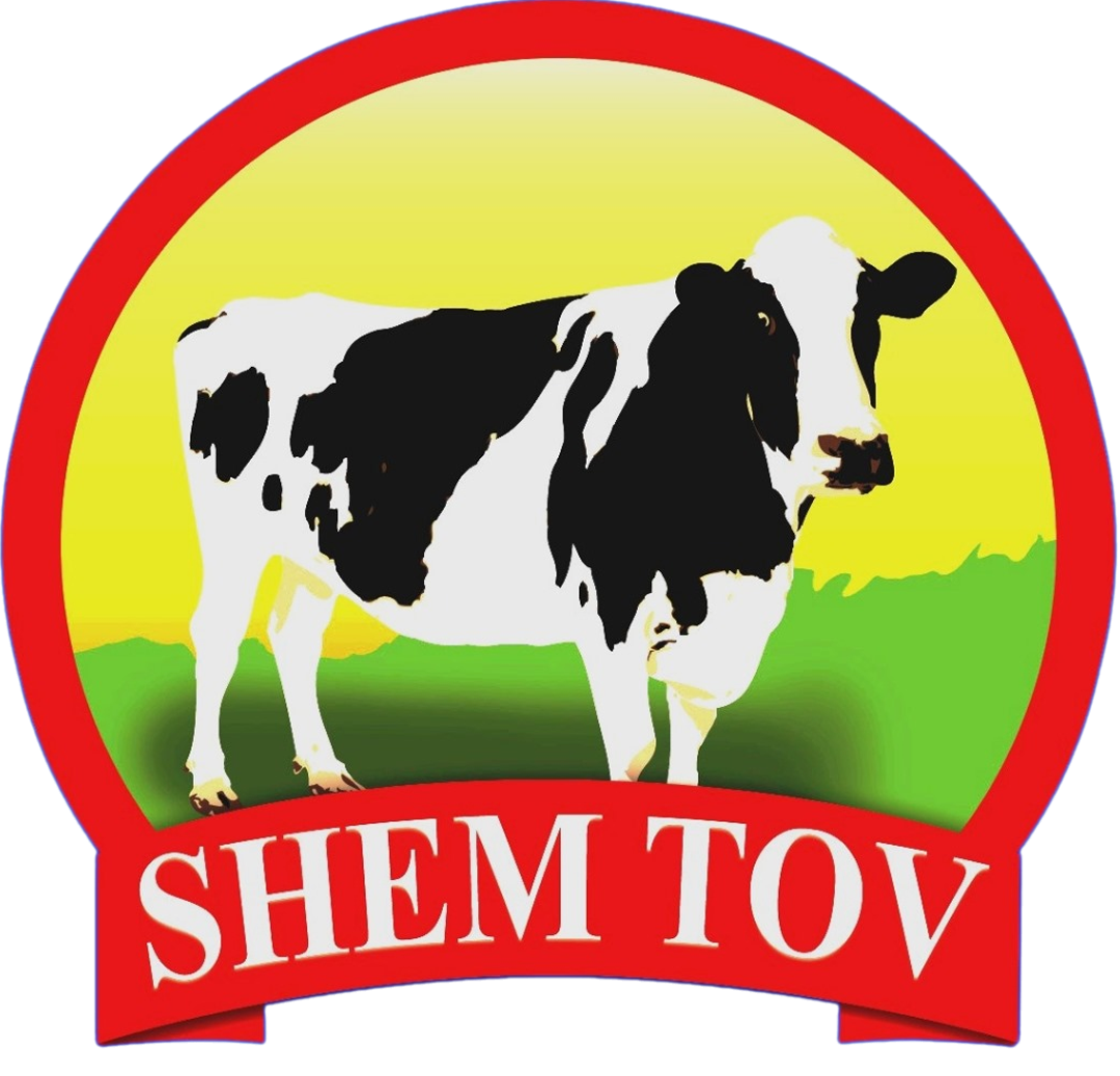 Shem Tov Logo